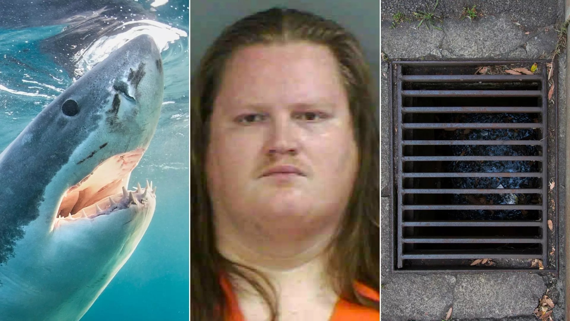 This Florida Quiz Will Reveal If You're A Local, A Tourist, Or Just Lost