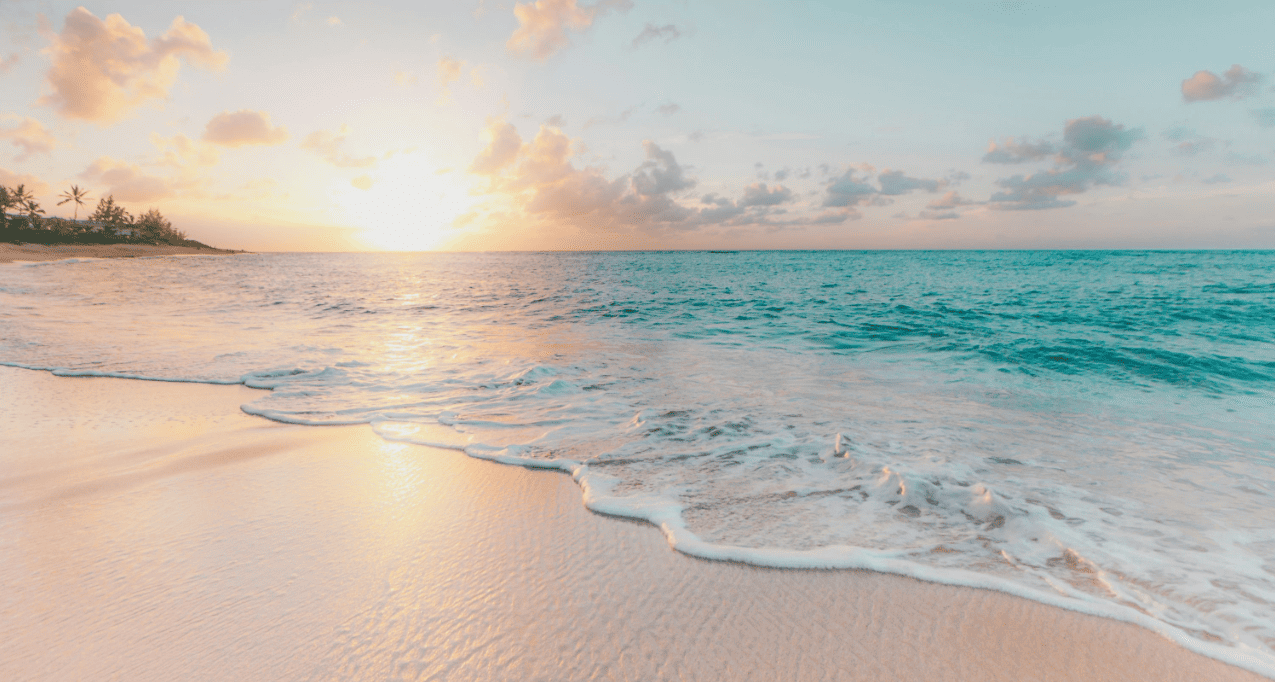 Let's start with a classic pairing: do you prefer the sandy shore or the deep, open waters?