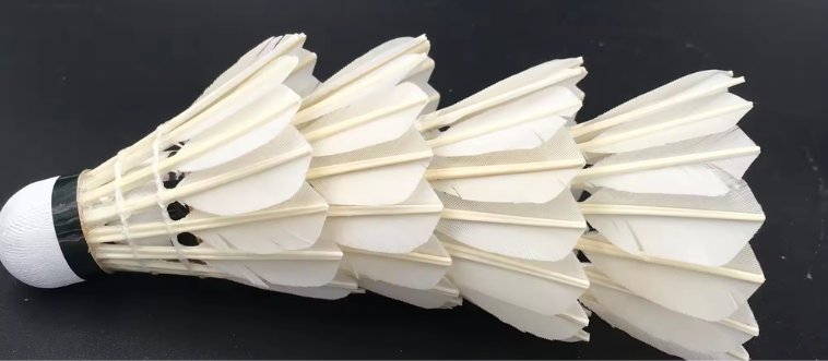 Sink your teeth into this mystery sport: